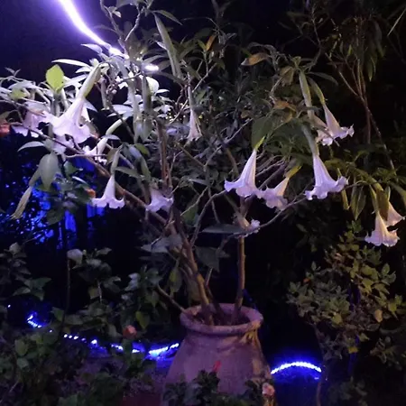 Habitación en casa particular Des 2 Geais *