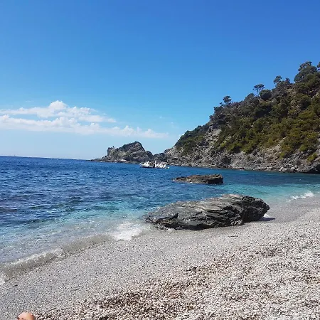 Des 2 Geais * Les Playes