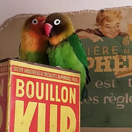 Des 2 Geais Privat bolig Les Playes