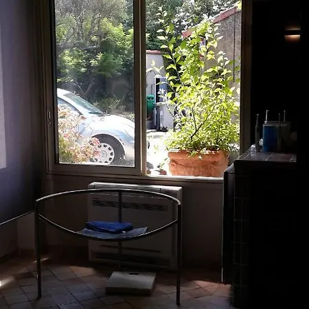 Des 2 Geais Les Playes