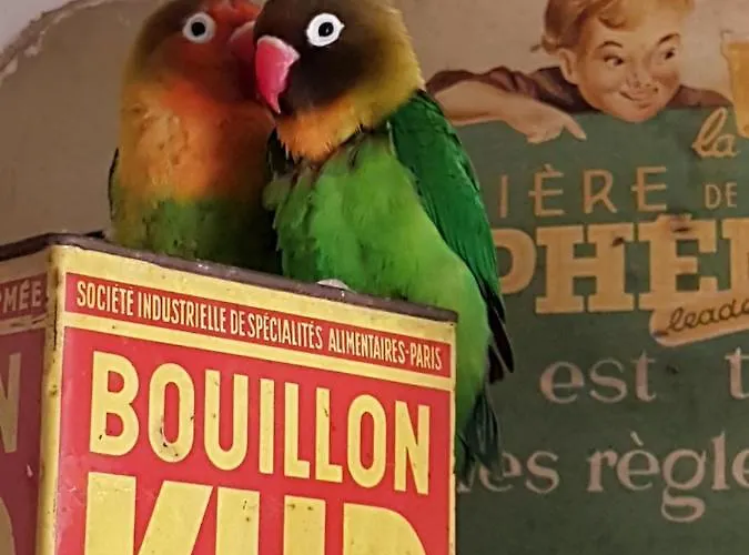 Des 2 Geais Privat bolig Les Playes